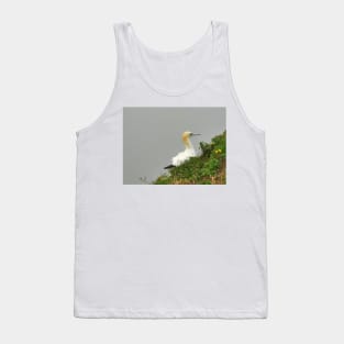 Gannet Tank Top